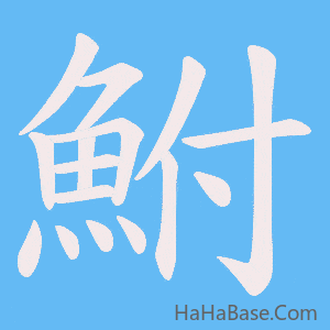 《鮒》的筆順動畫寫字動畫演示