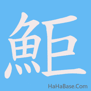 《鮔》的筆順動畫寫字動畫演示