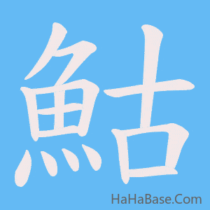 《鮕》的筆順動畫寫字動畫演示