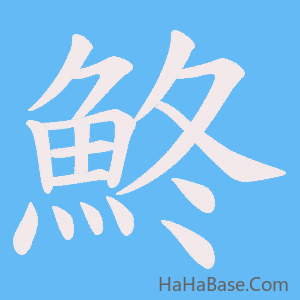 《鮗》的筆順動畫寫字動畫演示