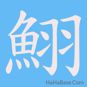 《鮙》的筆順動畫寫字動畫演示