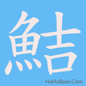 《鮚》的筆順動畫寫字動畫演示