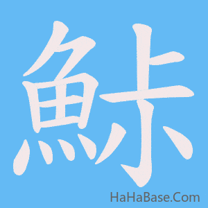 《鮛》的筆順動畫寫字動畫演示