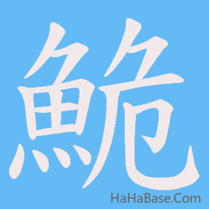 《鮠》的筆順動畫寫字動畫演示