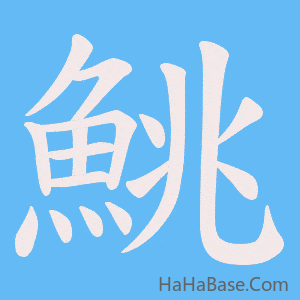 《鮡》的筆順動畫寫字動畫演示