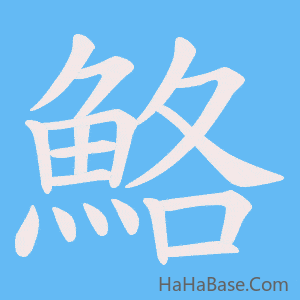 《鮥》的筆順動畫寫字動畫演示