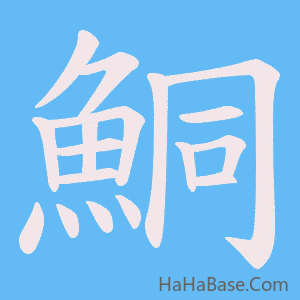 《鮦》的筆順動畫寫字動畫演示