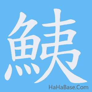 《鮧》的筆順動畫寫字動畫演示