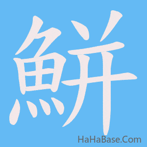 《鮩》的筆順動畫寫字動畫演示