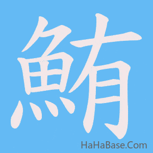 《鮪》的筆順動畫寫字動畫演示