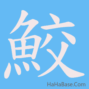 《鮫》的筆順動畫寫字動畫演示