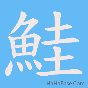 《鮭》的筆順動畫寫字動畫演示