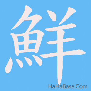 《鮮》的筆順動畫寫字動畫演示