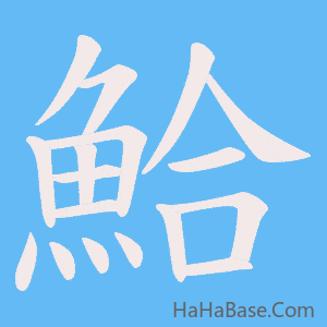 《鮯》的筆順動畫寫字動畫演示