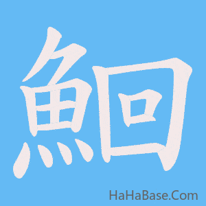 《鮰》的筆順動畫寫字動畫演示