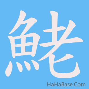 《鮱》的筆順動畫寫字動畫演示