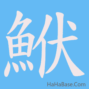 《鮲》的筆順動畫寫字動畫演示