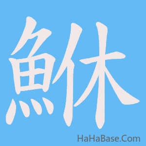 《鮴》的筆順動畫寫字動畫演示