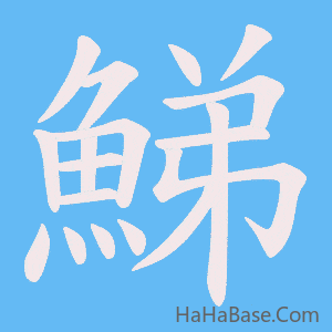 《鮷》的筆順動畫寫字動畫演示