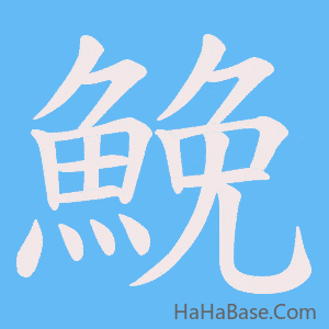 《鮸》的筆順動畫寫字動畫演示