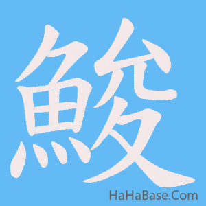《鮻》的筆順動畫寫字動畫演示