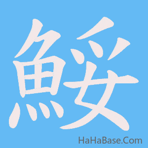 《鮾》的筆順動畫寫字動畫演示