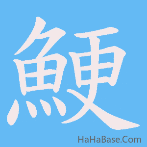 《鯁》的筆順動畫寫字動畫演示