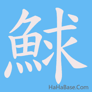《鯄》的筆順動畫寫字動畫演示