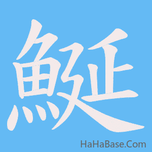 《鯅》的筆順動畫寫字動畫演示