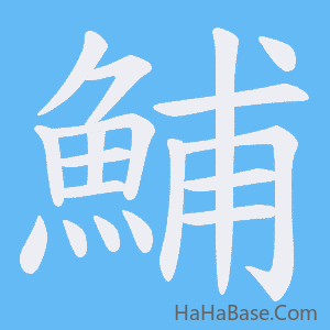 《鯆》的筆順動畫寫字動畫演示