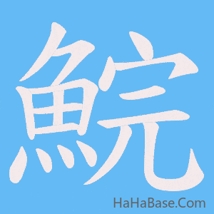 《鯇》的筆順動畫寫字動畫演示