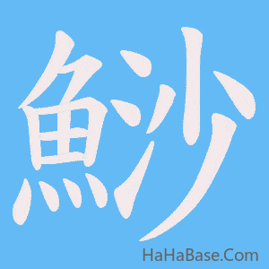 《鯋》的筆順動畫寫字動畫演示