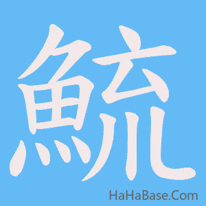 《鯍》的筆順動畫寫字動畫演示