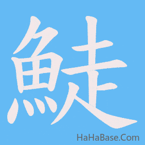 《鯐》的筆順動畫寫字動畫演示