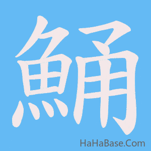 《鯒》的筆順動畫寫字動畫演示