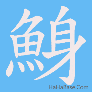 《鯓》的筆順動畫寫字動畫演示