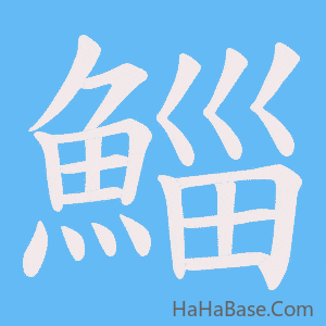 《鯔》的筆順動畫寫字動畫演示