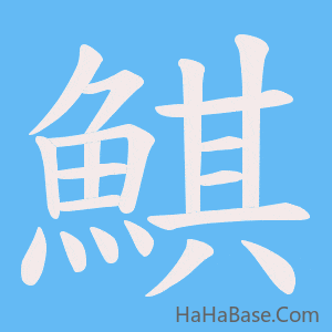 《鯕》的筆順動畫寫字動畫演示