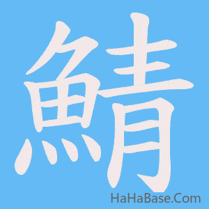 《鯖》的筆順動畫寫字動畫演示