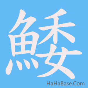《鯘》的筆順動畫寫字動畫演示