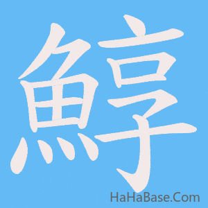 《鯙》的筆順動畫寫字動畫演示