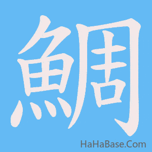 《鯛》的筆順動畫寫字動畫演示