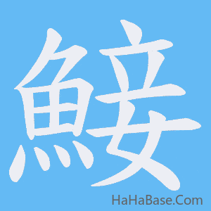 《鯜》的筆順動畫寫字動畫演示