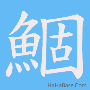 《鯝》的筆順動畫寫字動畫演示