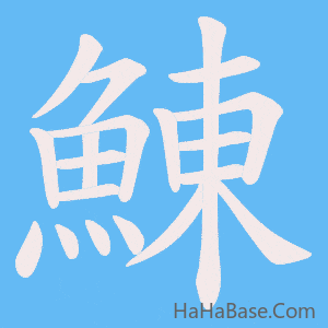 《鯟》的筆順動畫寫字動畫演示