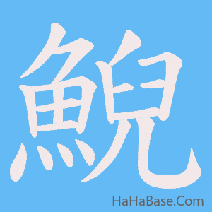 《鯢》的筆順動畫寫字動畫演示
