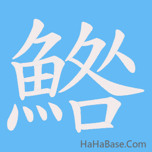 《鯦》的筆順動畫寫字動畫演示
