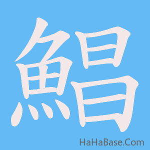 《鯧》的筆順動畫寫字動畫演示