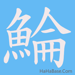 《鯩》的筆順動畫寫字動畫演示