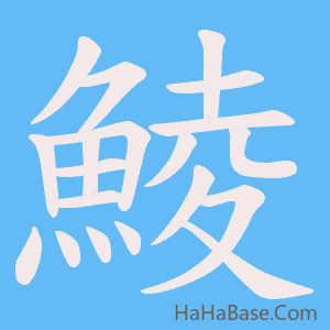 《鯪》的筆順動畫寫字動畫演示
